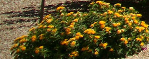 2008/871051635dca.jpg