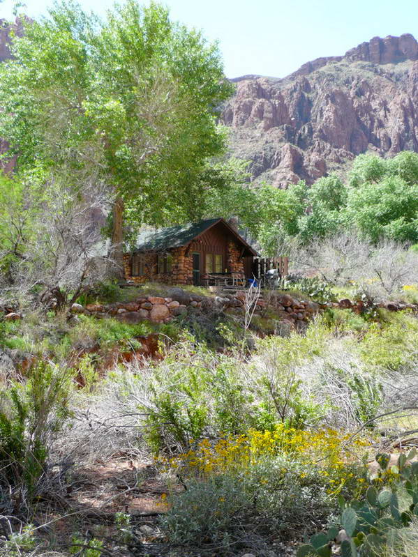 2008/GCH36.jpg