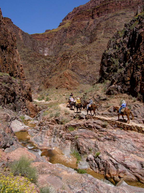 2008/GCH51.jpg