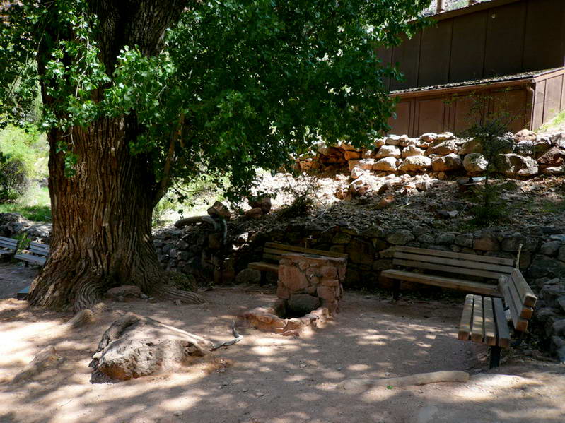 2008/GCH61.jpg