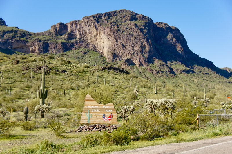 2008/PicachoC.jpg