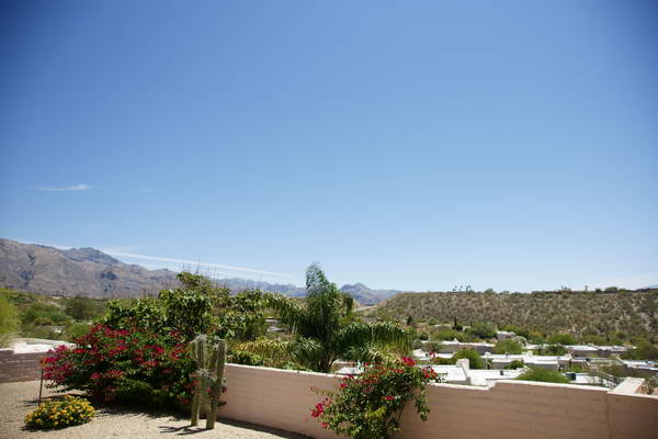 2008/s1610503vsmpl.jpg