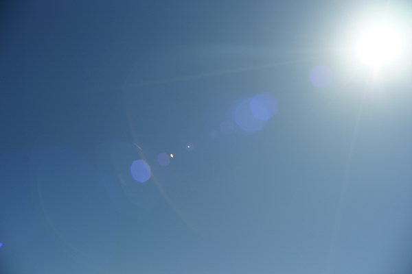 April2009/fetscratchfl.jpg