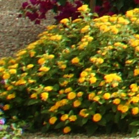 Aug08/1820011cn.jpg