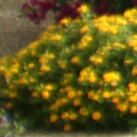 Aug08/1820035cn.jpg