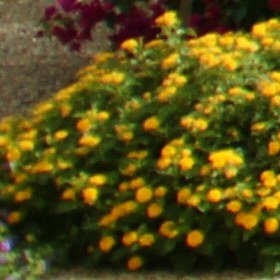 Aug08/1820056cn.jpg