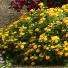 Aug08/1820080cn.jpg