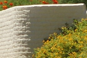 Aug08/35703540.jpg