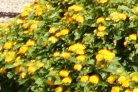 Aug08/3570cn3556.jpg