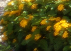 Aug08/s50mm14cn.jpg