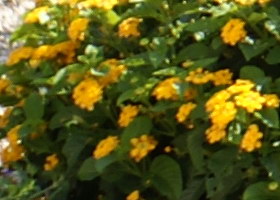 Aug08/s50mm28cn.jpg