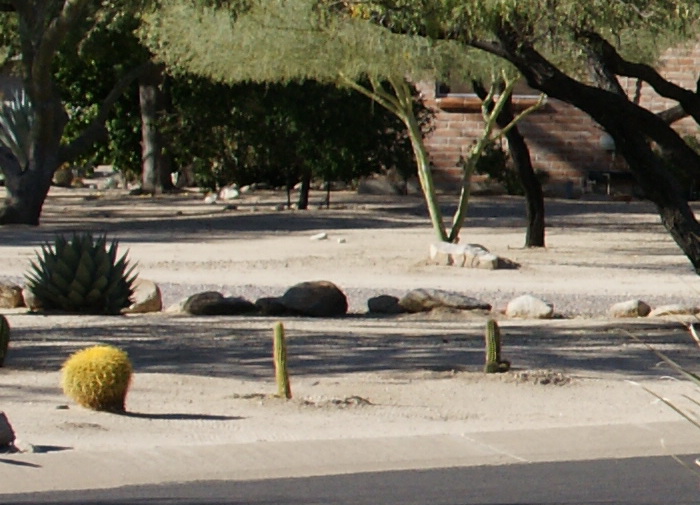 December2010/s3518lcf.jpg