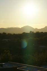 Jan2009/s85f14sunagl2.jpg