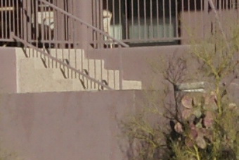 Janfeb2011/t70200f11ctr135.jpg