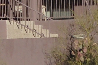 Janfeb2011/t70200f40ctr135.jpg