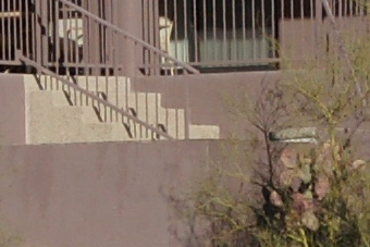 Janfeb2011/t70200f56ctr135.jpg
