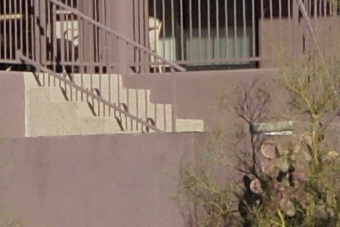 Janfeb2011/t70200f56mid135.jpg