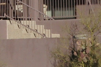 Janfeb2011/t70200f80ctr135.jpg