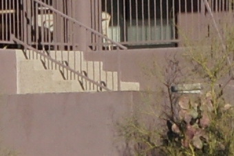 Janfeb2011/t70200f80mid135.jpg