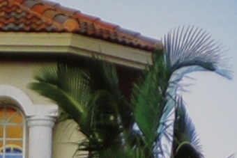 Janfeb2011/t70200ff20028ctr.jpg