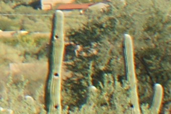 November09/s2880cnx.jpg