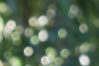 September2009/t5056bk.jpg
