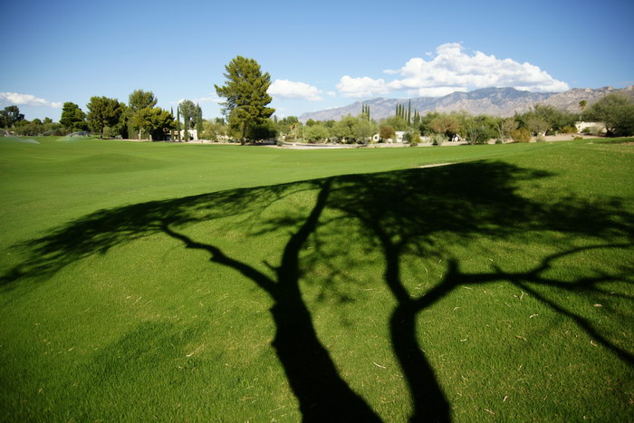 September2009/tam17vig172.jpg