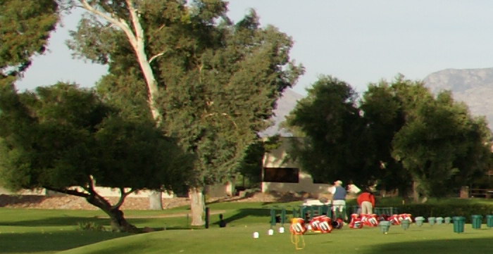 September2009/tamcf2.jpg