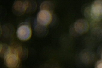 September2009/tmbok1728.jpg