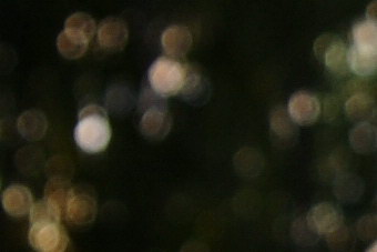 September2009/tmbok1740.jpg