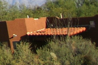 September2009/w28cnb.jpg