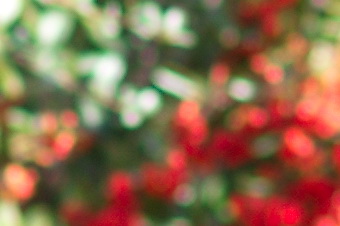 endof2011/sig85bok28.jpg