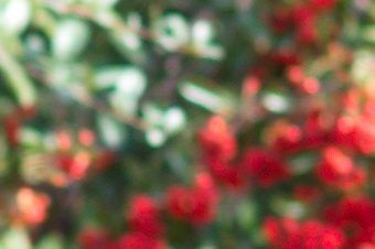 endof2011/sig85bok40.jpg