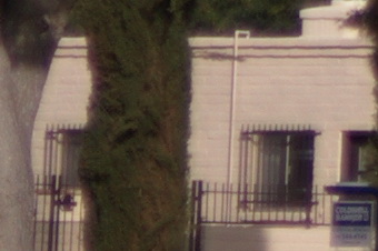 endof2011/sig85corn14.jpg
