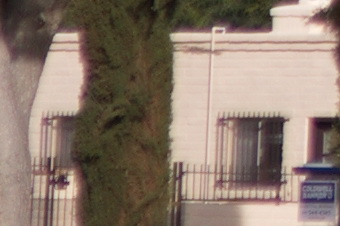 endof2011/sig85corn28.jpg