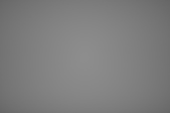 endof2011/sig85mmvig14.jpg