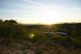 october08/18250sunfl.jpg