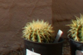 october08/2450wcnf56.jpg