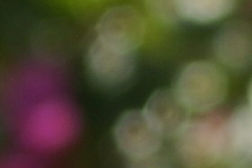 october08/2450wf4.jpg