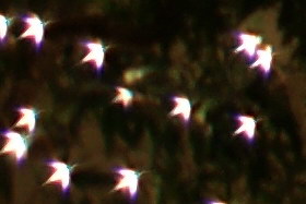 october08/3570ffcma40.jpg