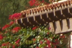october08/3570ffcntel16.jpg