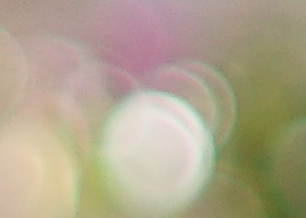 october08/5014ffbok14.jpg