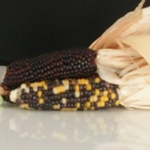 october08/700upsampdiff983.jpg