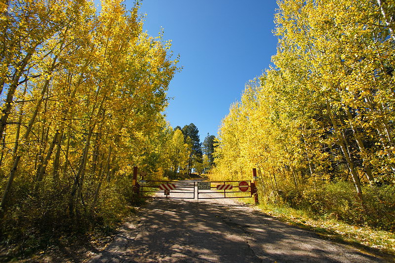 october08/falltour_02.jpg