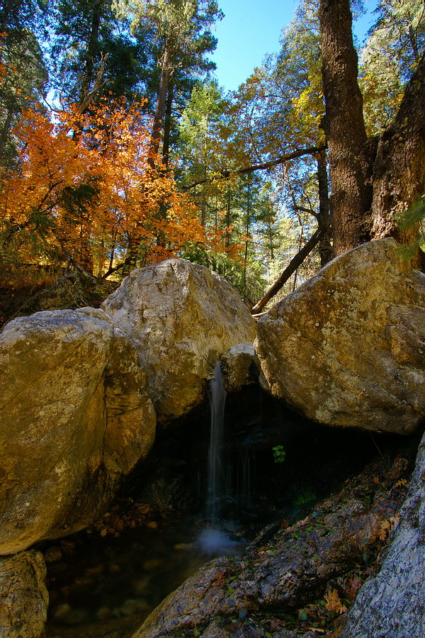 october08/falltour_08.jpg