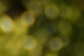 october08/s18200boktel63.jpg