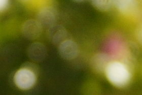 october08/s18200bokw35.jpg